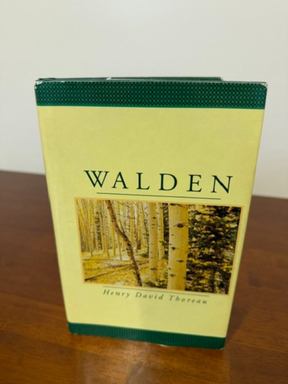 VINTAGE 1995 Walden Hardcover Book Henry David Thoreau Longmeadow Press.